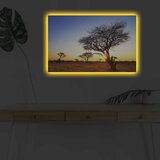 Wallity Zidna slika sa LED osvetljenjem 4570DHDACT-090, 45x70 cm | Eponuda.ba
