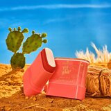 Essence YEE HAW! mat kremasto rdečilo v paličici odtenek 01 Wild Heart, Country Soul 9 g | Shoptok.si