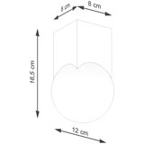Nice Lamps Stropna svetilka v naravni barvi s steklenim senčilom 12x12 cm Rayer – | Shoptok.si