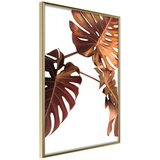  Poster - Copper Monstera 30x45 Cijene