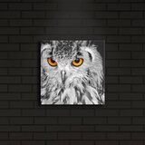 Wallity Slika sa LED osvetljenjem 2828İACT-19, 28x28 cm | ePonuda.com