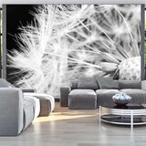  Tapeta - Black and white dandelion 400x280 Cijene