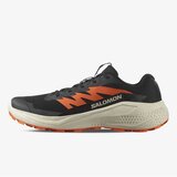 Salomon Alphaglide Cene