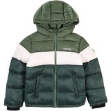 Levi's Zimska jakna zelena / temno zelena / bela | Shoptok.si