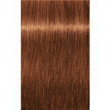 Schwarzkopf igora royal #royaltakeover - 7-764 srednje blond bakrena čoko bež | Shoptok.si