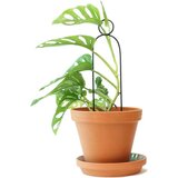 Botanopia Pomoč pri plezanju "Mini Plant Stake" - Pompom Cene
