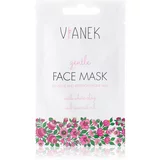 VIANEK Gentle maska za čišćenje za osjetljivu i nadraženu kožu lica 10 g