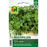 AUSTROSAAT peteršilj "Gigante d'Italia" (multipille) Cene