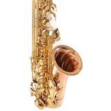 Roy Benson Eb-Alt Saksofon AS-202G - Audio-Kondric | Shoptok.si