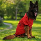 Paws &amp; Whiskers Kırmızıpatisweat Crvena Dukserica za Pse | Eponuda.com