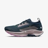 Nike ženske patike W reactx pegasus trail 5 gtx FQ0912-400 | ePonuda.com