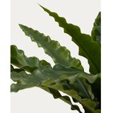 Kave Home Umetni sukulent (višina 70 cm) Neottopteris – | Shoptok.si