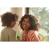 Schwarzkopf Schauma 7 Herbs zeliščni šampon za normalne in mastne lase 400 ml | Shoptok.si