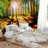  Foto tapeta - Marvelous Forest 250x175 Standard | shoptok.hr
