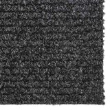  Dugi tepih za hvatanje nečistoće 100 x 300 cm antracit | shoptok.hr