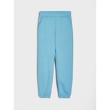 Sinsay Jogger hlače | shoptok.hr