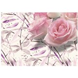  Tapeta - Name Day Wishes 150x105 | shoptok.hr