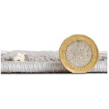 Think Rugs Svijetlo sivi tepih 80x150 cm Apollo – | shoptok.hr