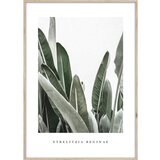 Styler Plakat v okvirju 50x70 cm Strelitzia - Styler Cene