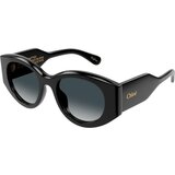 Chloe CH0251S 001 ONE SIZE (51) Črna/Siva Cene