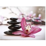  Tapeta - Relaxation and Wellness 250x193 | shoptok.hr