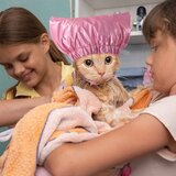 INF Nepremočljiva kapa za prhanje za hišne ljubljenčke - zaščita za ušesa Rose red M, (5000124741) | Shoptok.si