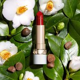Clarins Joli Rouge Shine bleščeča šminka z vlažilnim učinkom odtenek 742S 3,5 g | Shoptok.si