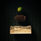 Beviro Bergamia Wood ulje za bradu s mirisom drva 30 ml | shoptok.hr