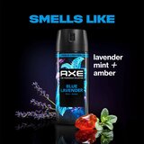 Axe Premium Blue Lavender dezodorant pršilo za moške 150 ml | Shoptok.si