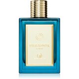 Grandeur Paradox Gold parfumska voda uniseks 100 ml | Shoptok.si