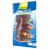 Tetra biljka za akvarijum red foxtail 23cm cene