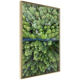  Poster - Forest from a Bird's Eye View 30x45 | shoptok.hr