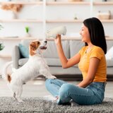 Love Story Igračka za psa Hippo – | shoptok.hr
