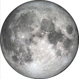 Malerifabrikken Slika 70x70 cm The Moon – Malerifabrikken Cene