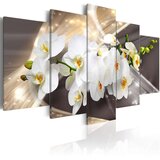  Slika - Golden Sash 100x50 Cijene