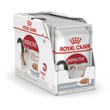 Royal_Canin Adult Instinctive - pašteta 12 x 85 g | Shoptok.si