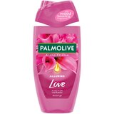 Palmolive Gel za tuširanje Love 250ml | ePonuda.com