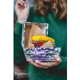 ZOOKSY/RAINBOW SOCKS Rainbow Socks Burger Socks 2 Pairs | ePonuda.com