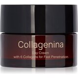Collagenina Grade 2 Day Cream učvrstitvena dnevna krema s kolagenom 50 ml | Shoptok.si