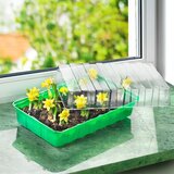 Mini staklenik za biljke mini 360x220x130mm Cene