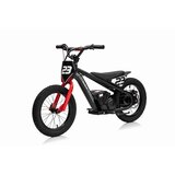 Ramiz Električno motorno kolo BAIGOR 23 Pro 250 W črna | Shoptok.si