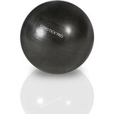 Gymstick žoga PRO CORE BALL 61113 22cm Cene