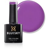  BLUESKY TRAJNI LAK PURPLE MIST | Eponuda.ba