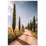  Slika - Italian cypresses (1 Part) Vertical 20x30 Na talijanskom platnu | shoptok.hr