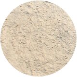 Provida Organics Color Balancing puder - Caramel | Shoptok.si