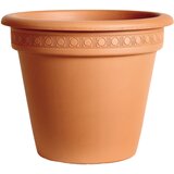 Degrea Saksija Classica Camelia teraccota 42 cm | Eponuda.com