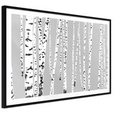  Poster - Birch Wood 30x20 | shoptok.hr