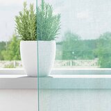 Voile zavjese s ušicama 2 kom tirkizne | shoptok.hr