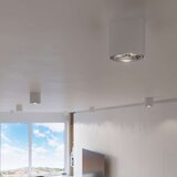  Sollux SL.0695 - Reflektorsko svetlo TIUBE1xGU10-AR111/10W/230V | Eponuda.com