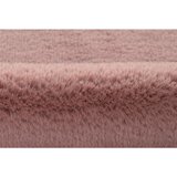 Kayoom UMETNO KRZNO 60/90 cm | Shoptok.si